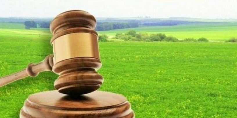 3bed66de7d911b17cae3a2448b9fd48a-816x408