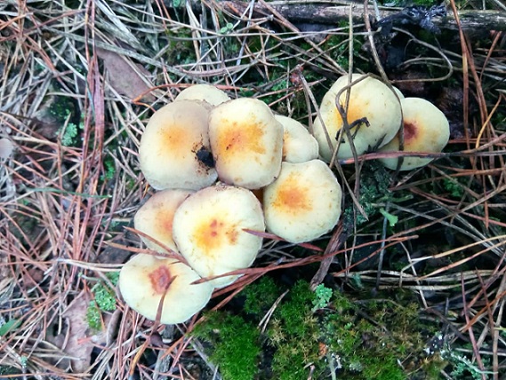 309642413_1969217643469373_4839219391606130393_n