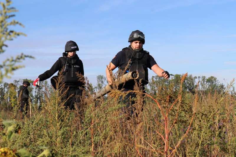 310955683_160484176595854_294705214589408506_n