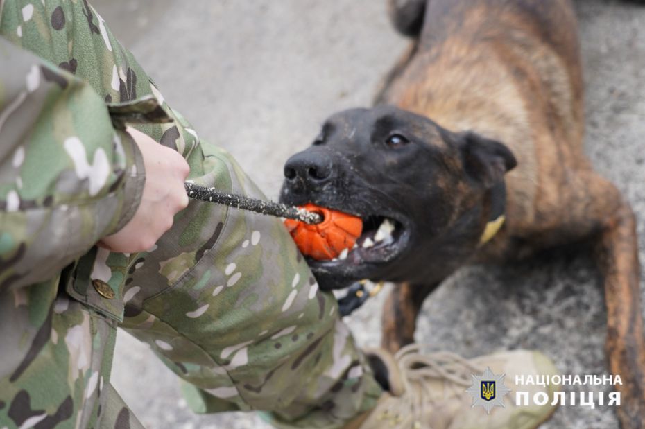 393714371_723150399856251_1752547140050267887_n