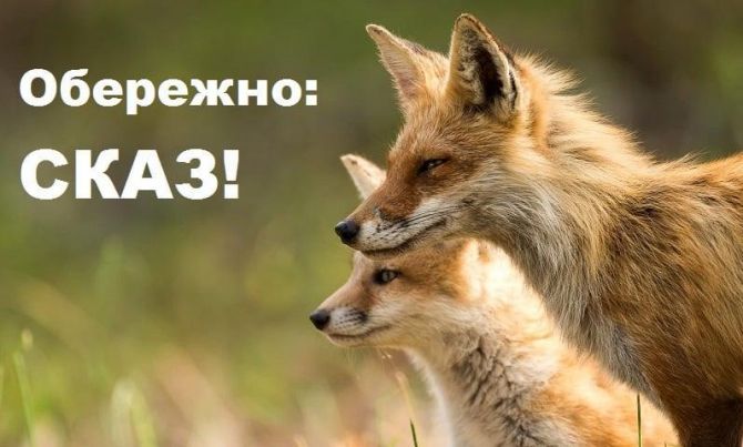 Фото тематичне