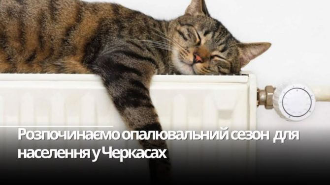 561295258_1259904012610767_2708158660517345890_n