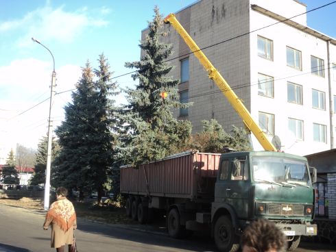 Фото читачів "Прочерку"