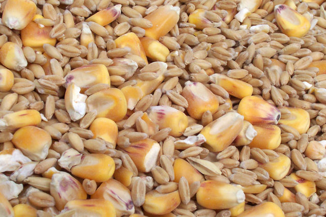 Assorted_grains