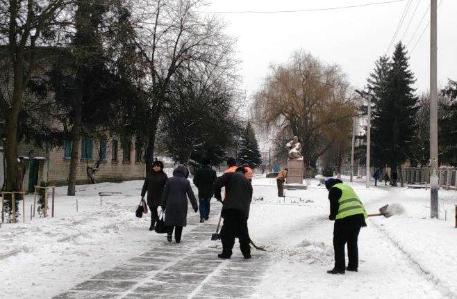 Зайн 3
