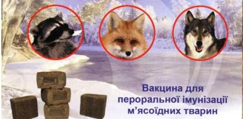 vakcinaciya_zhivotnyh_1