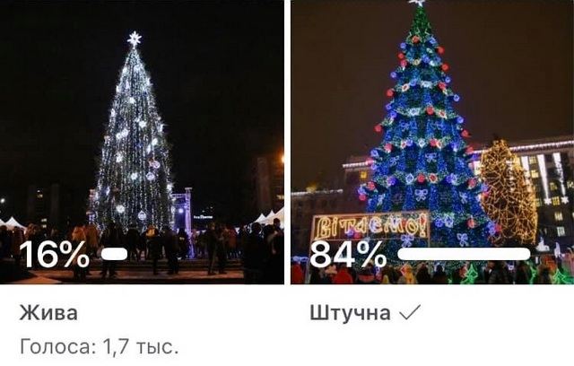 73067253_1827007894109464_852749792227360768_n