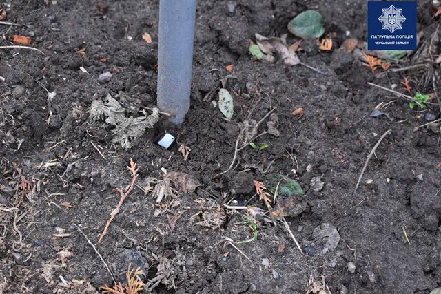 79999458_2617570248321035_5451255200268419072_o