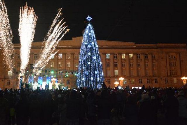 DSC_3354-500x334