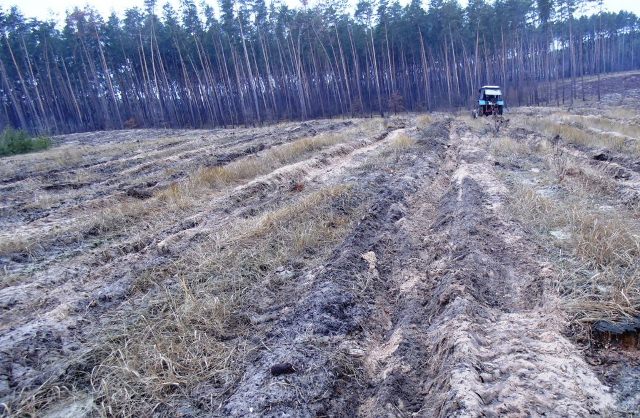 розпушування-24.11.15-016-1024x668