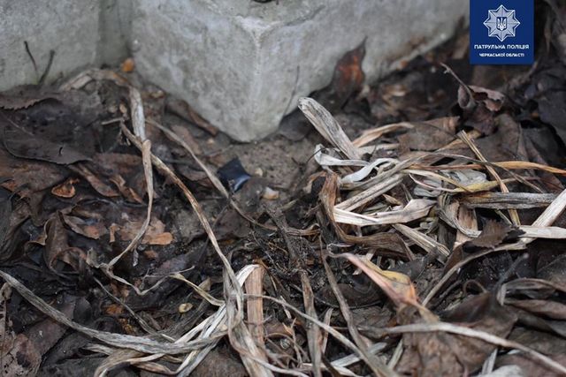 81492414_2617570408321019_6828147481151275008_o