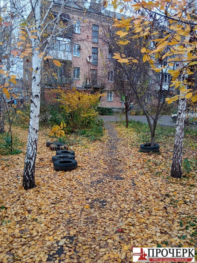 252864097_597887351356255_2029177813720735019_n