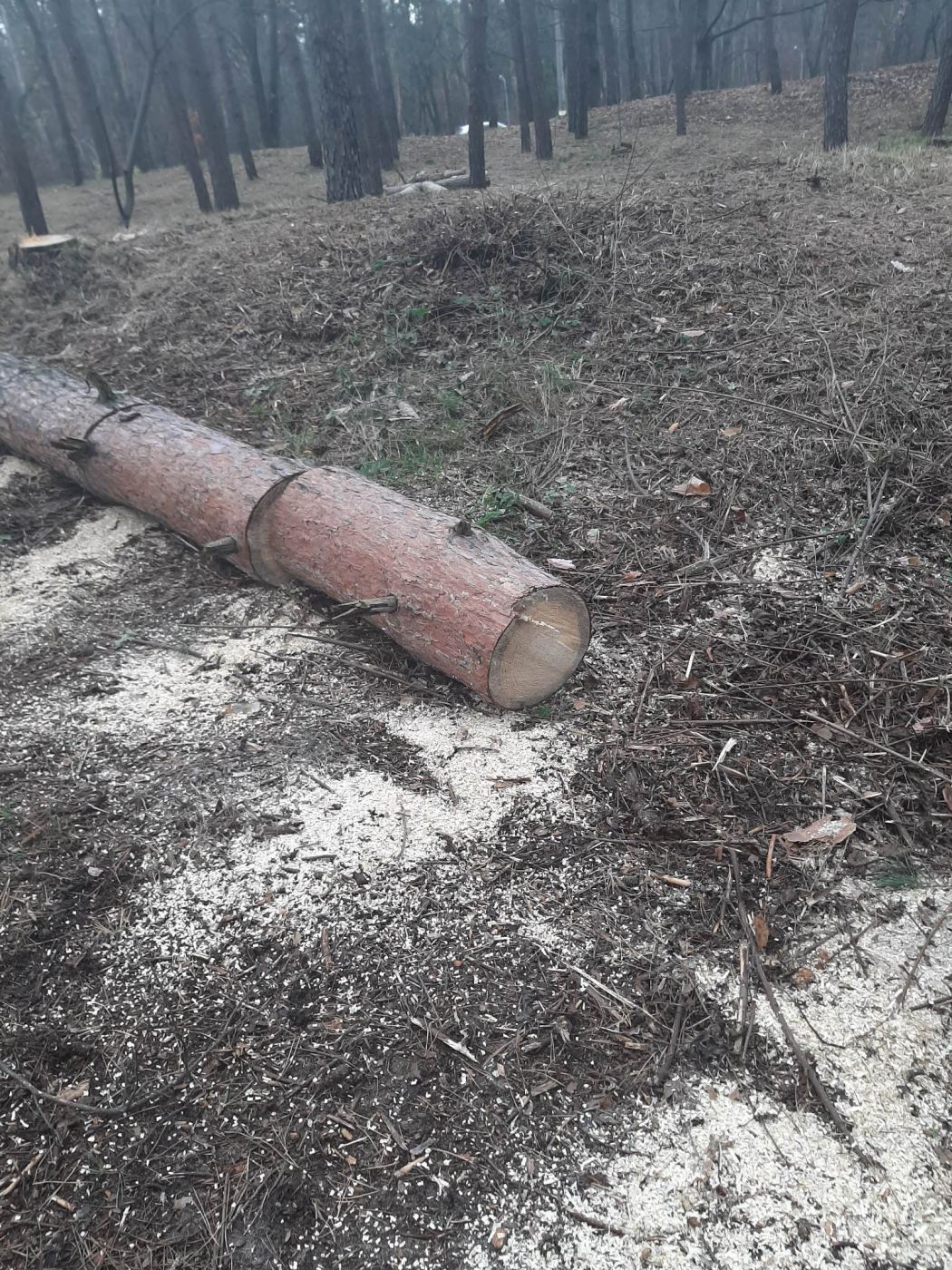 316606770_844953163593915_6567311242249961368_n