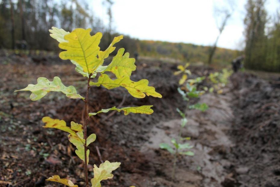 photo_2022-10-21_17-47-29
