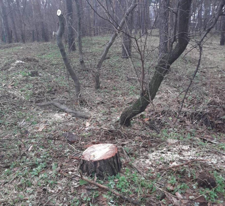 316955714_5519287391459587_7219933163022687776_n-1024x940