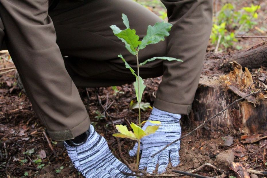 photo_2022-10-21_17-46-37