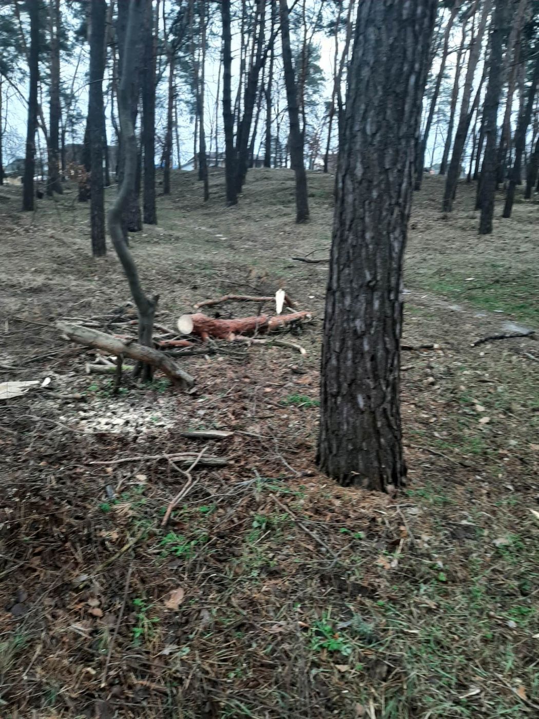 316604124_445375961008693_5629098816524241016_n