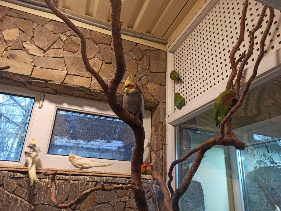 photo_5474435079091635412_y