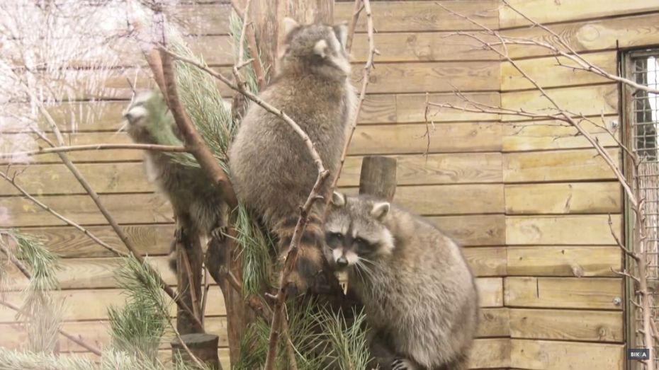 316215862_551126617029039_4043752341245841342_n