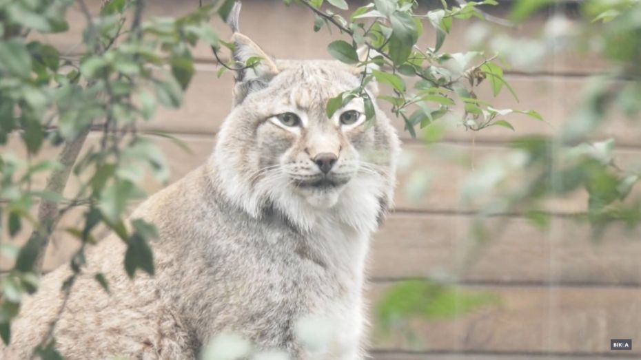 316215862_551126617029039_4043752341245841343n