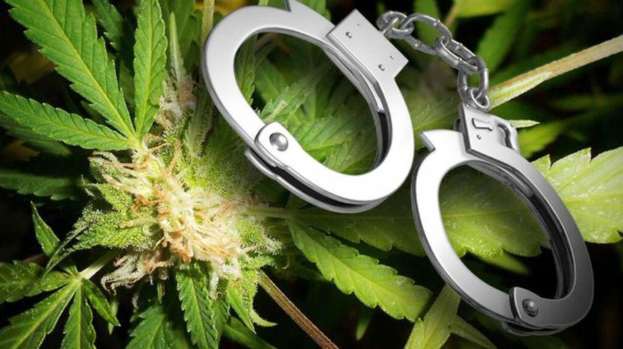 316685343_518368703650764_9064544338843199669_n