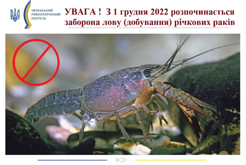 316957278_456529083326105_6810718614350635552_n