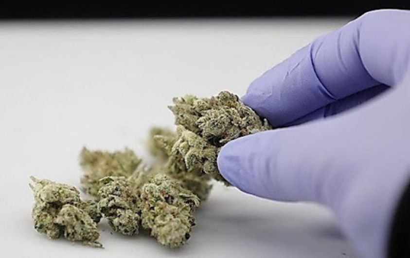 317575351_521359310018370_2104561209212220690_n