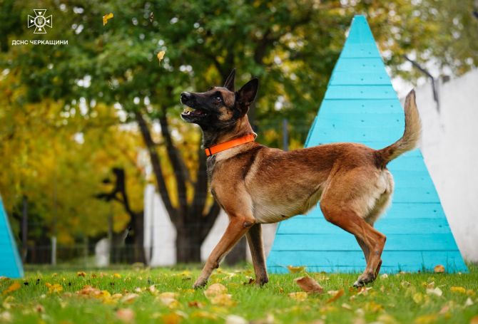 589609233_1273731694791535_2597573091609339074_n