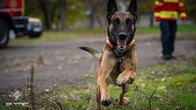 577842746_1257007676463937_2001506711088136839_n