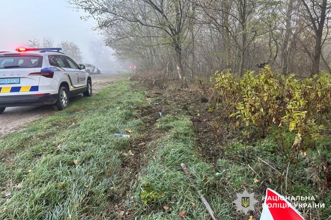 574312169_1295785552592730_3098531472603949783_n