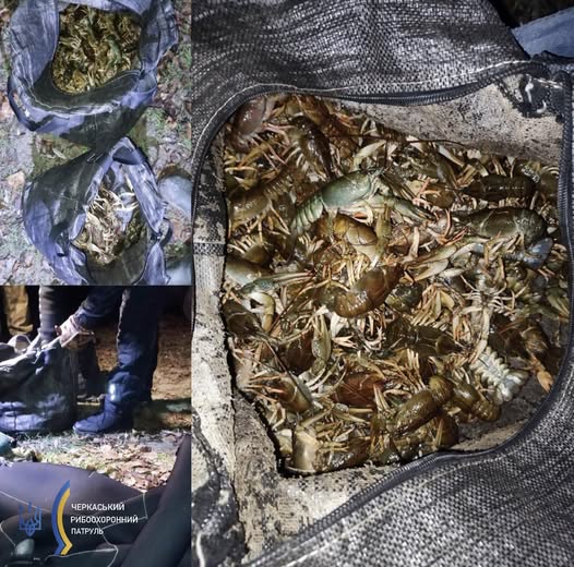 588644257_122147818916807410_1174748498390420968_n