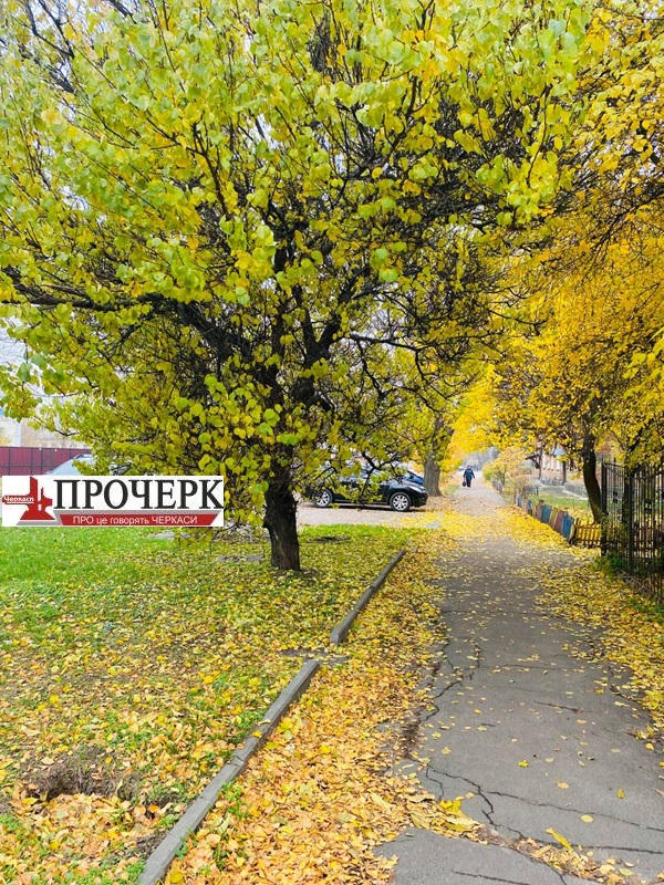 photo_2025-11-06_11-53-12