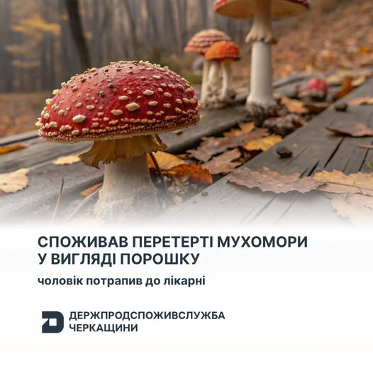 585999097_1228485955976679_6035736633217411074_n