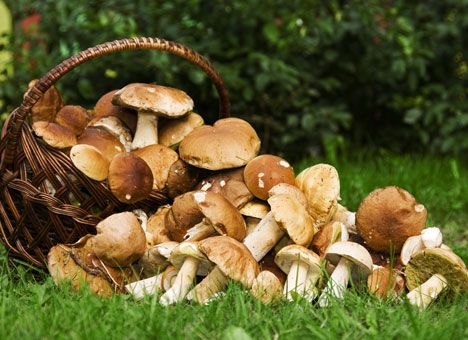 Фото тематичне