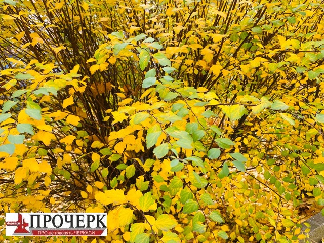 photo_2025-11-03_15-45-59