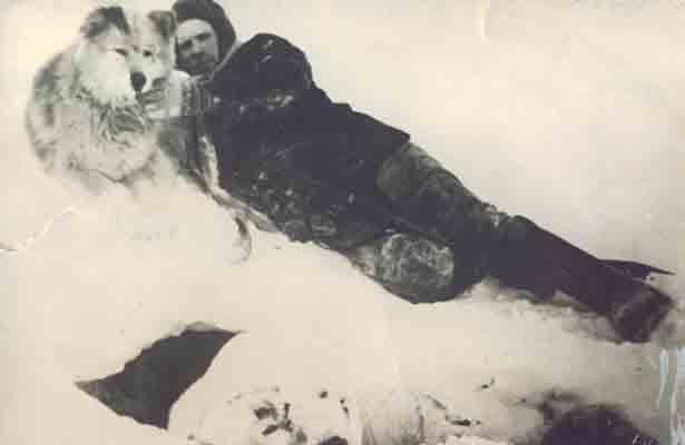 12509510_1008978595830327_1351342318356897634_n