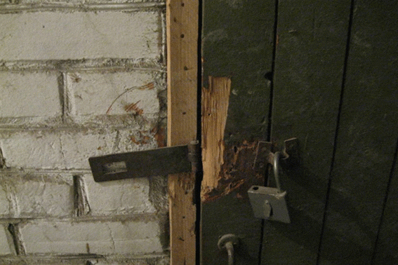 PM433image003
