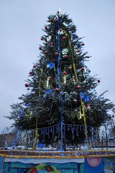 DSC_3524-870_650