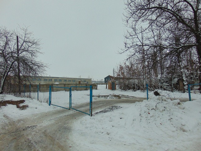 DSC00713