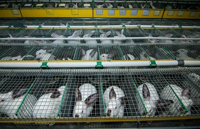 2d196cd-dsc-6429-1-croped