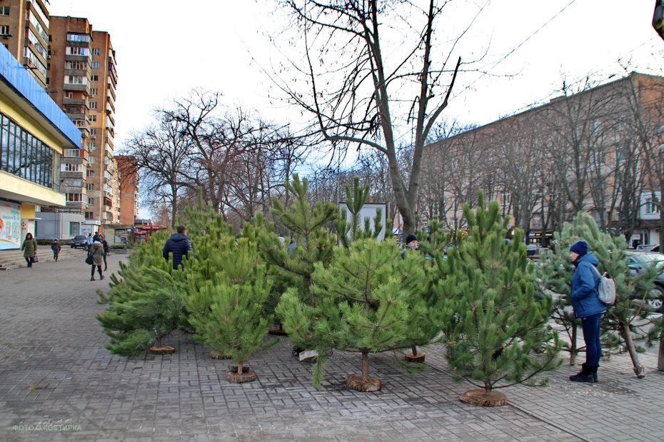 133712816_3646107715456953_4080650056714664169_o