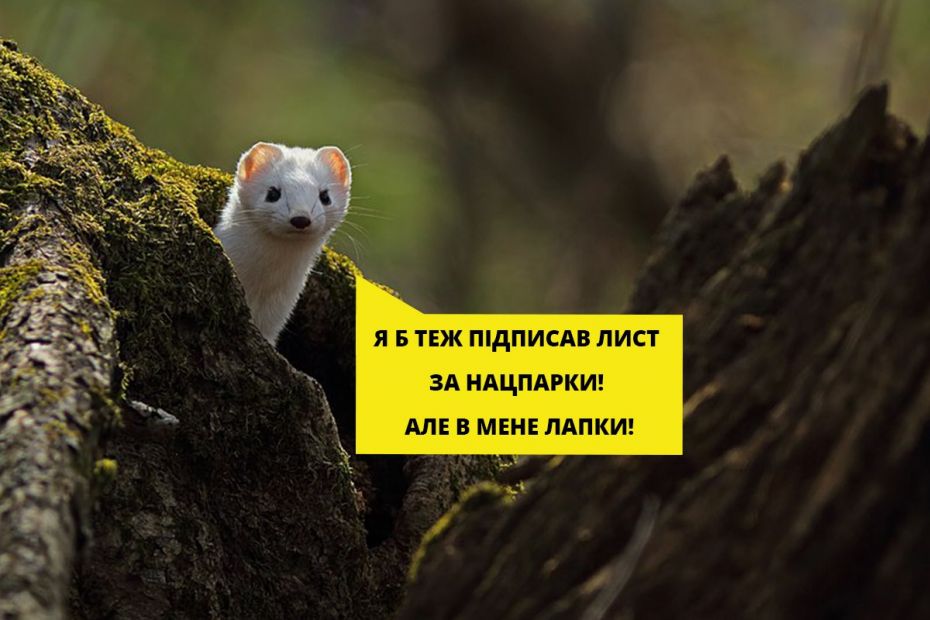 131507716_673212036700295_7759269446916802715_o