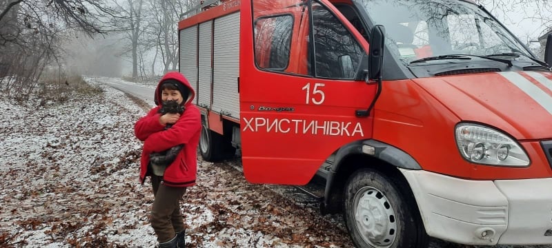 133101278_3619241344779147_2283414541176229399_n