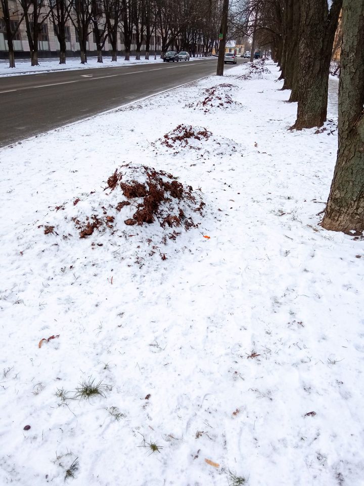 271589468_4613467368708265_8188770953358994610_n