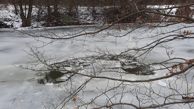 video_2021-12-25_13-30-43.00_00_05_03.Still003