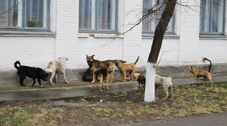 fm9npspgthbg9ymfxhoa