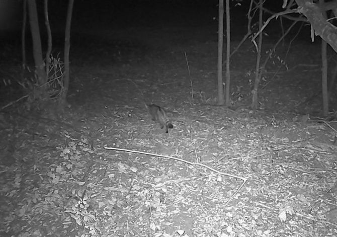 597151576_781032441627181_4554638319766826375_n