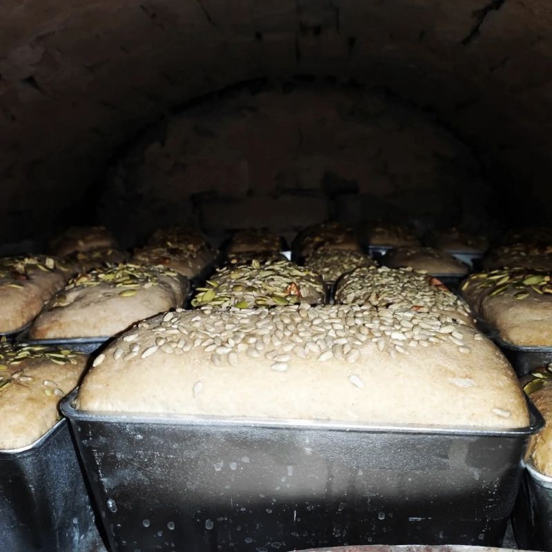 FB_IMG_1765782493436