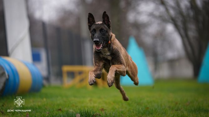 591750933_1279821767515861_6554893410966138273_n