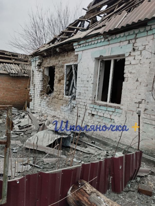 photo_2025-12-23_15-29-02